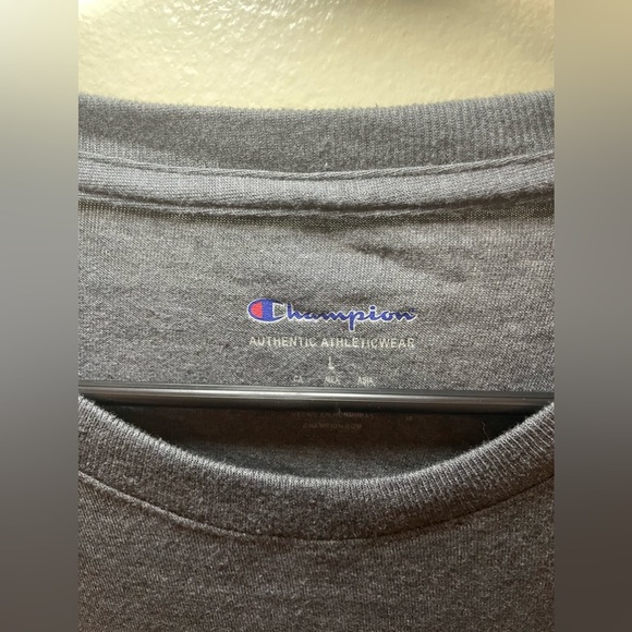 ✨2 For $6 Champion Men’s Tshirt Size L #B1 - Picture 3 of 6